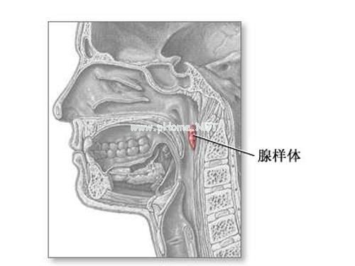 52d00007830bf56c950.jpg