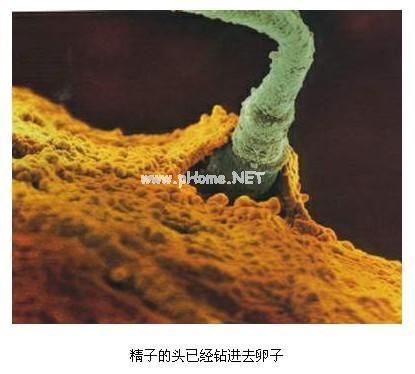5d90005e15cbd7dd008.jpg